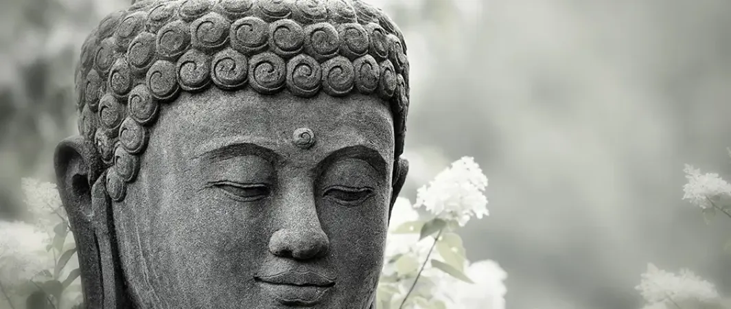 Musterbilder Budda (Musterbilder Budda)