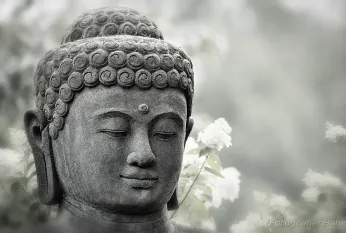 Bild: Musterbilder Budda (Musterbilder Budda)