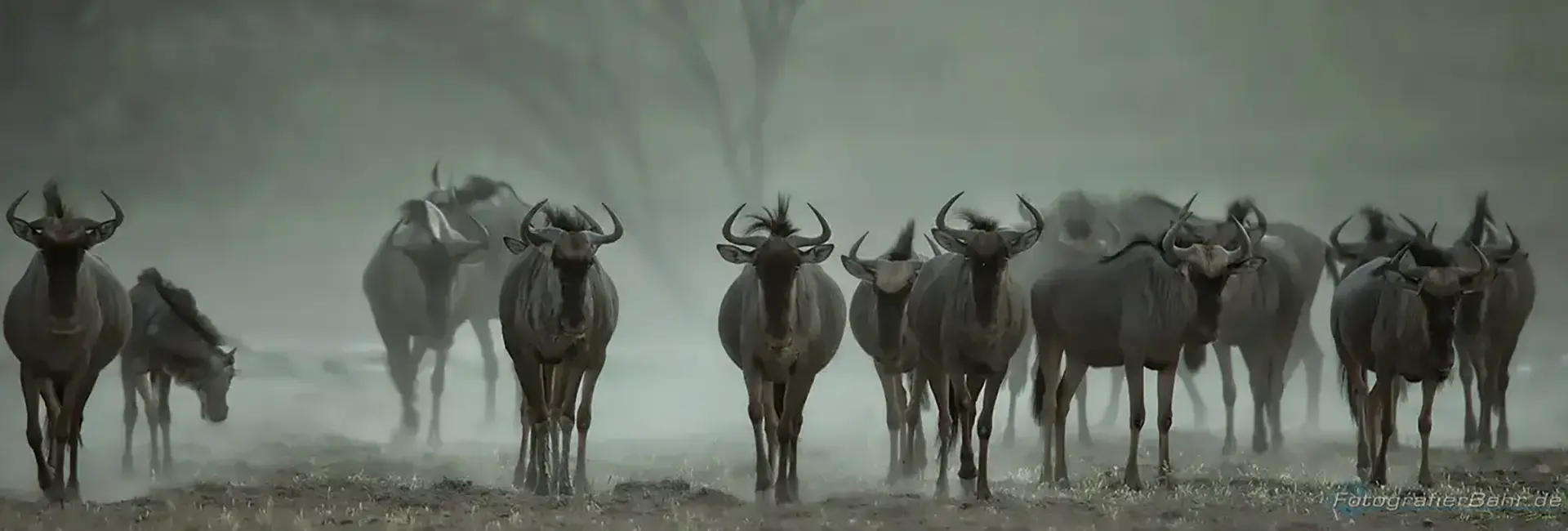 Bildunterzeile (Musterbild Slider 1920x650)