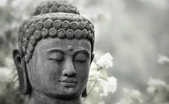 Bild: Musterbilder Budda (Musterbilder Budda)
