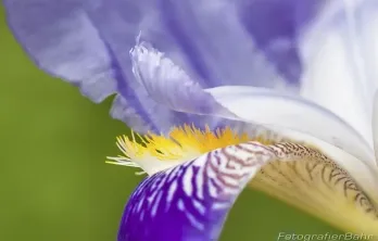 B4A5033.webp