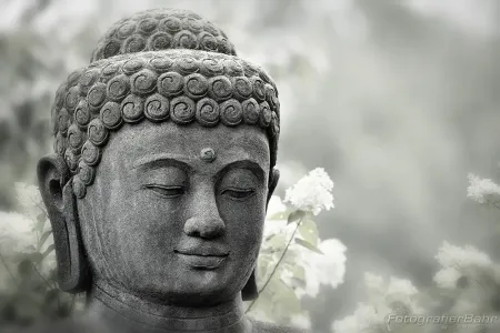 Budda.webp