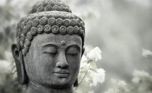 Bild: Musterbilder Budda (Musterbilder Budda)