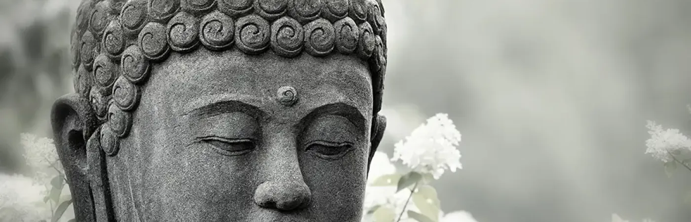 Musterbilder Budda (Musterbilder Budda)