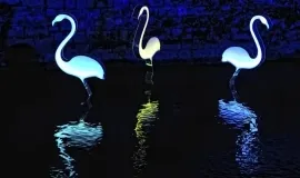 Bild: Musterbilder Flamingos [ALT]({ALT})[/ALT]