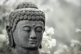 Bild: Musterbilder Budda [ALT]({ALT})[/ALT]