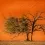 303-Namibia-sossusvlei.webp