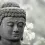Budda.webp