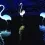 berching01.webp