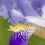 B4A5033.webp